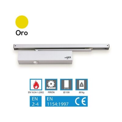 CTG65SOR