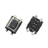 PULTEL-2 PULTEL-2