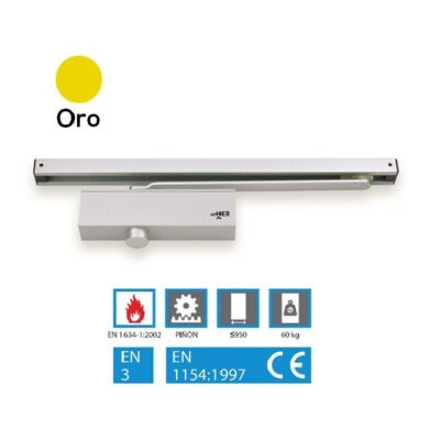 CTG63SOR