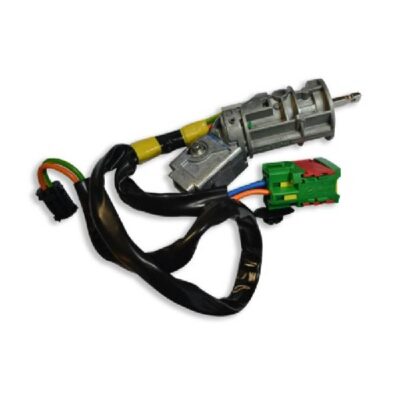 RSCIT004