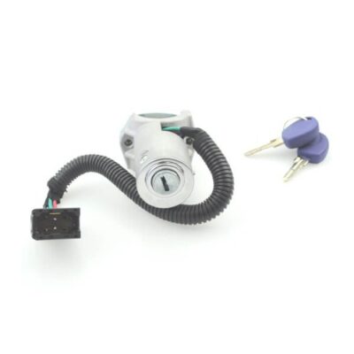 RSIV002