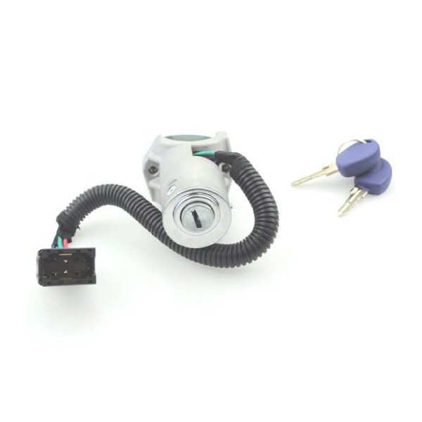 RSIV002
