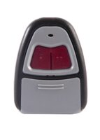 T2-M