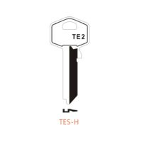 TES-H