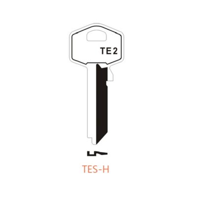 TES-H